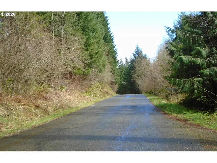 20817 NE Yacolt Mountain Rd, Yacolt, WA 98675 - #3