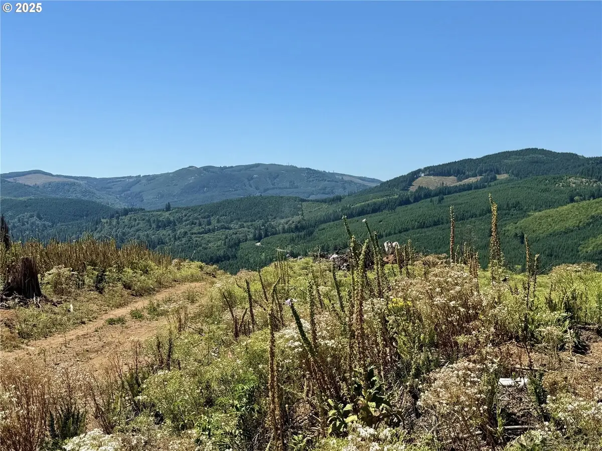 3700 Little Kalama River Rd #6, Woodland, WA 98674 - #1