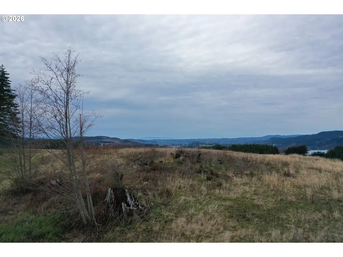 004 Hagen Rd, Mossyrock, WA 98564 - #1