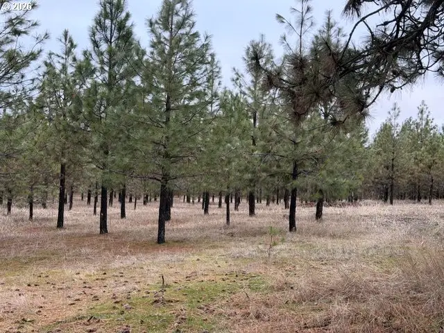 Garrison Rd #1, Goldendale, WA 98620 - #2