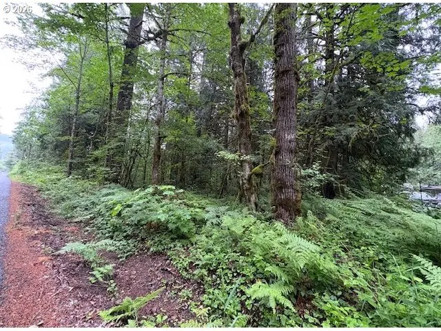E .arrah Wanna Blvd, Welches, OR 97067 - #1