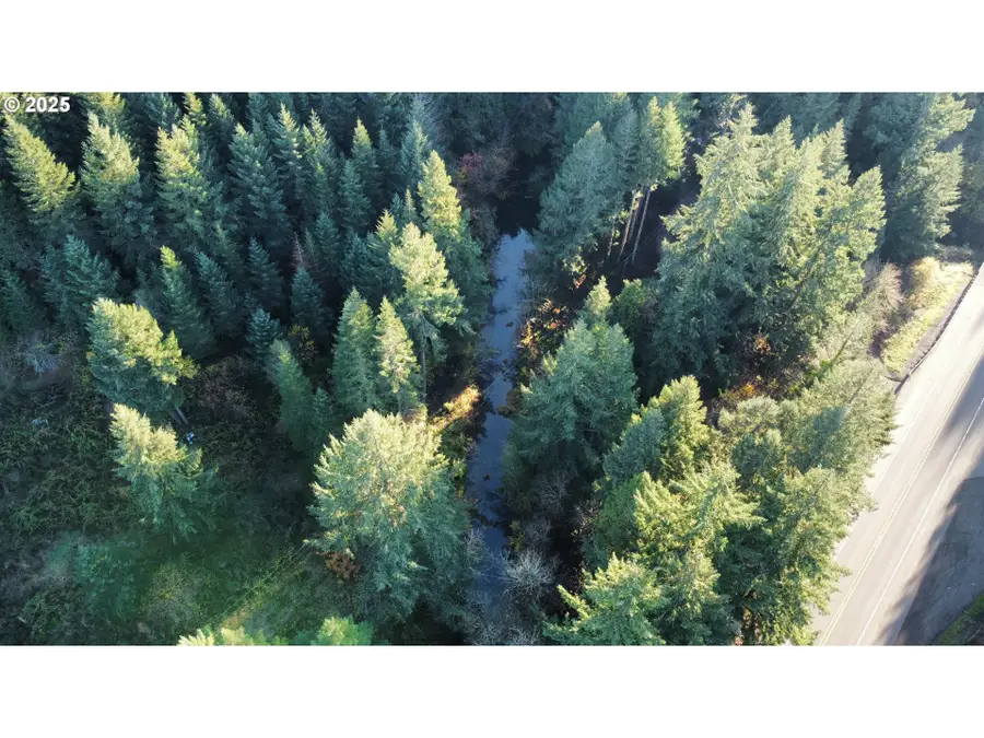 Hard Cash Ln, Camas Valley, OR 97416 - Image #3