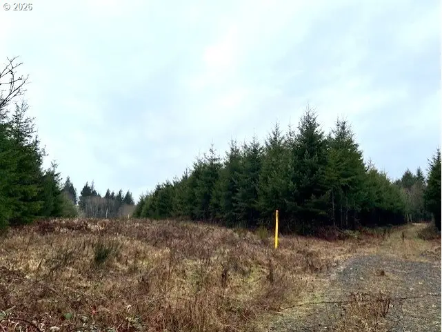 76781 Palm Hill Rd, Clatskanie, OR 97016 - #3