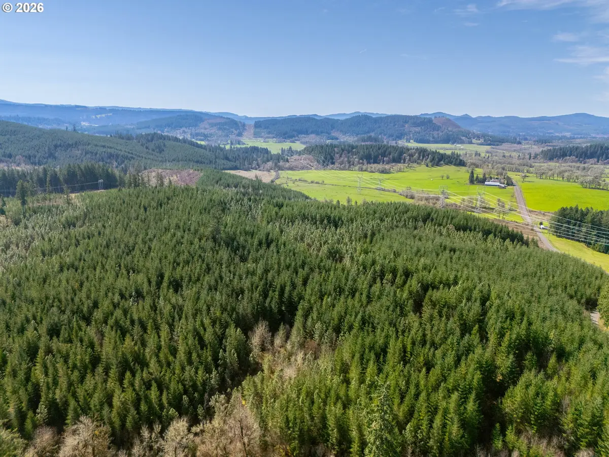 0 Bellinger Rd, Lebanon, OR 97355 - #1
