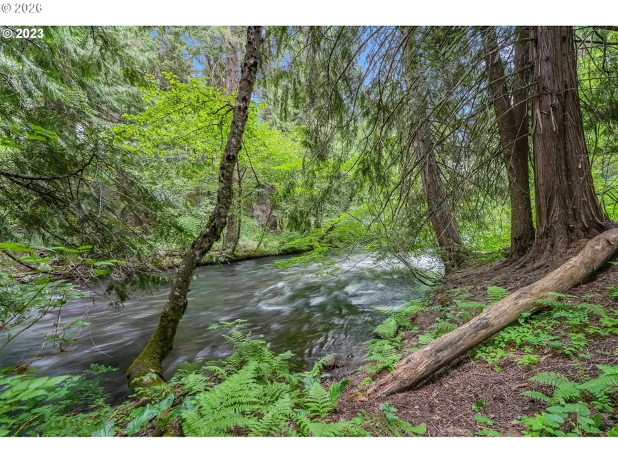 107 Lahar Rd, Trout Lake, WA 98650 - #3