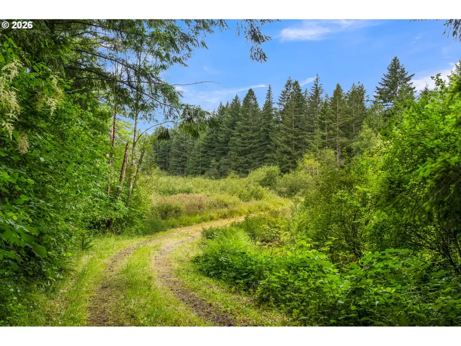 3832 NE Cavitt Rd, Camas, WA 98607 - #2