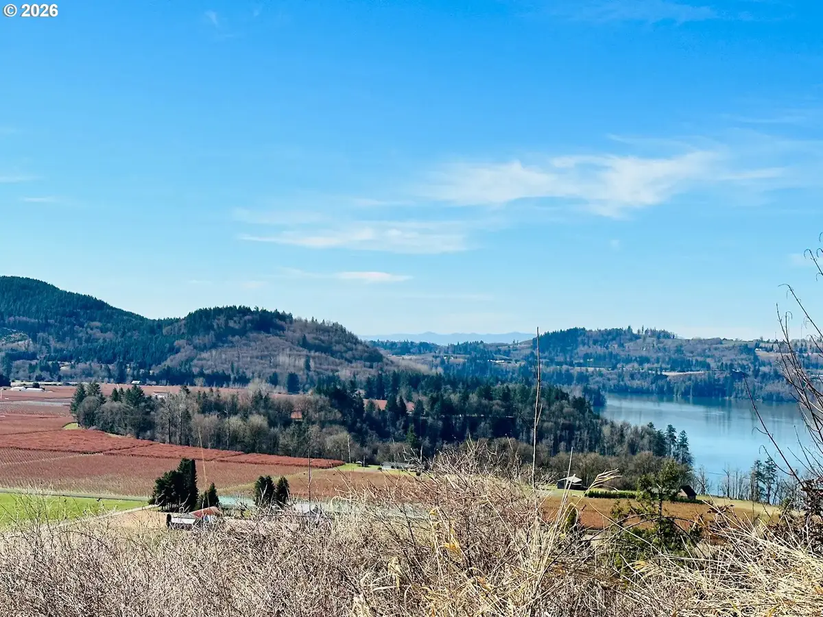 295 Degoede Dr, Mossyrock, WA 98564 - #1