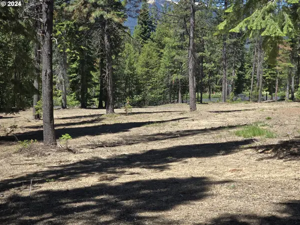 19 Elk Haven, CrescentLake, OR 97733