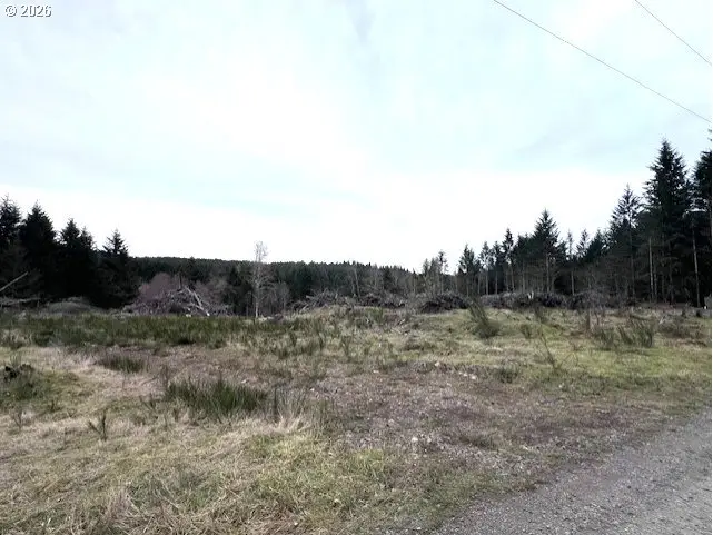 Cochran Rd, Timber, OR 97144 - #2