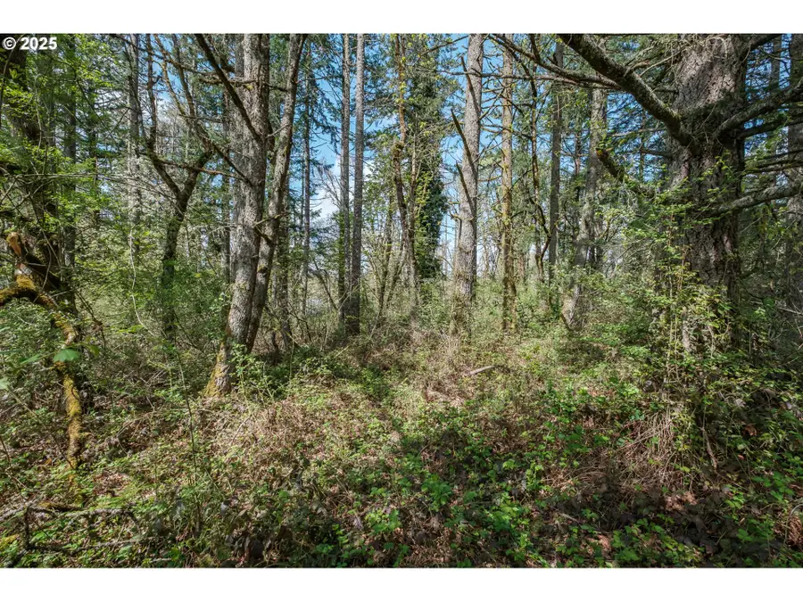 Valley View Dr Nw, Albany, OR 97321 - Image #2