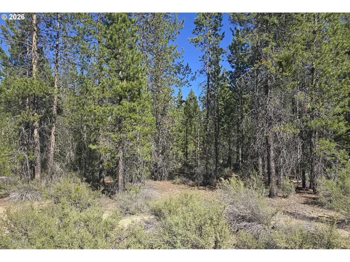 5 Mowich St, Crescentlake, OR 97733 - #1