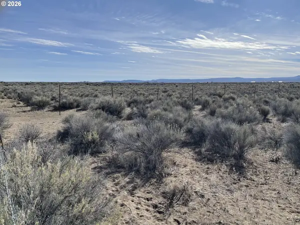 North Star Lane, ChristmasValley, OR 97641