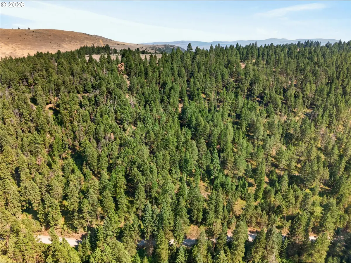 0 Washington Gulch #3300, Baker City, OR 97814 - #1