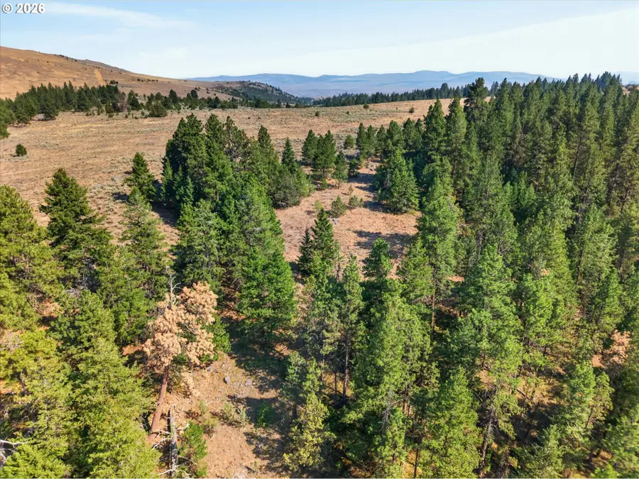 0 Washington Gulch #3300, Baker City, OR 97814 - #2