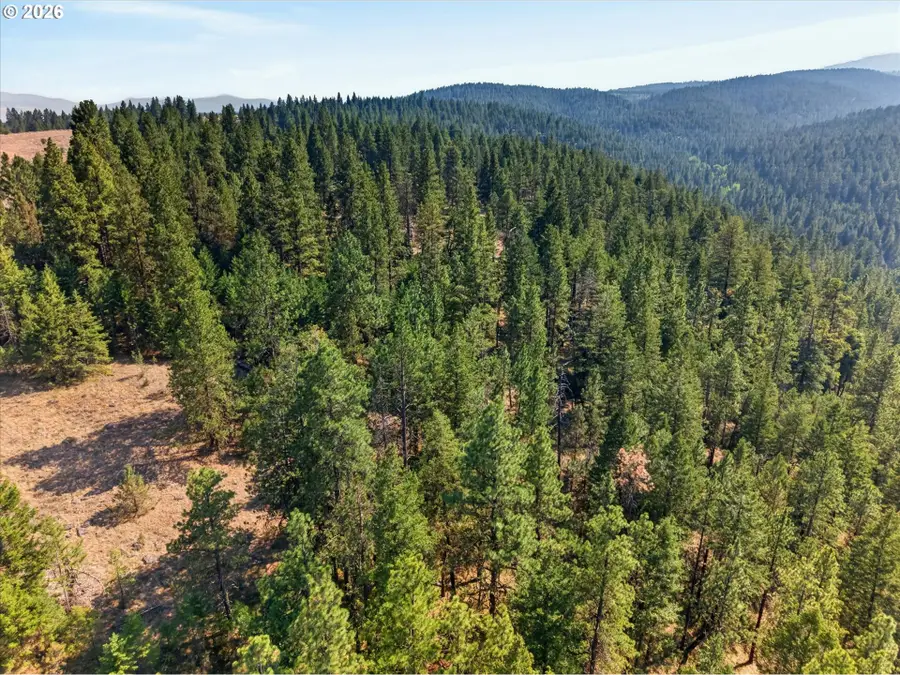 0 Washington Gulch #3300, Baker City, OR 97814 - #3