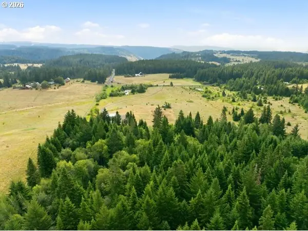 Snowden Rd, White Salmon, WA 98672 - #3