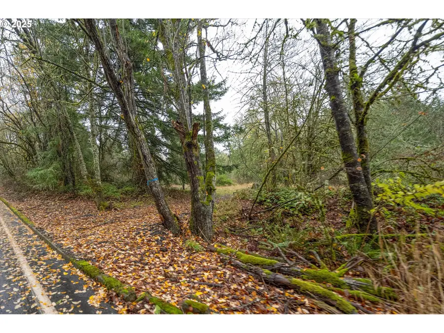 0000 Grimm Rd, Kelso, WA 98626 - Image #2