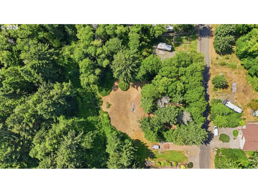1806 320th Pl, Long Beach North Beach Peninsula, WA 98640 - #2