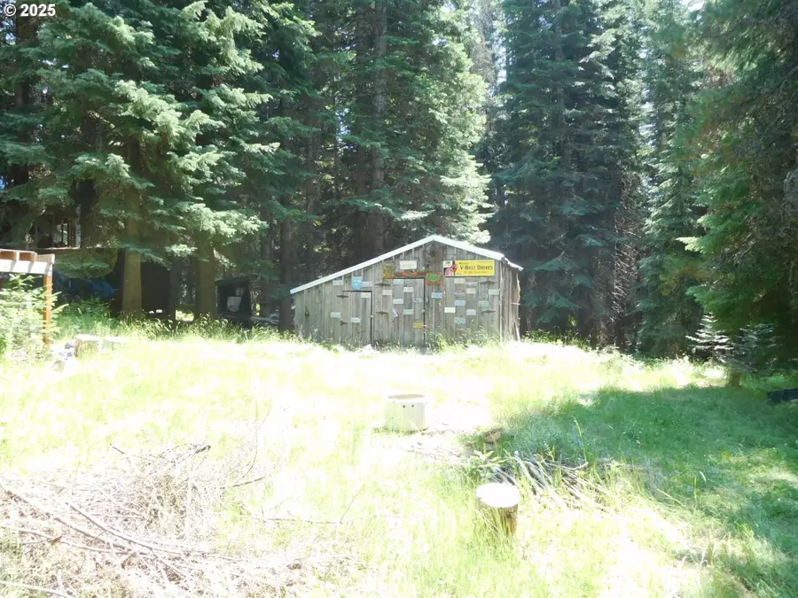 78228 Snowshoe Ln, Weston, OR 97886 - #2