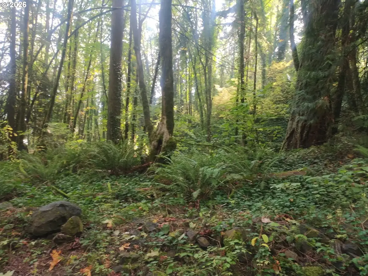 NW Mackay Ave, Portland, OR 97231 - #1
