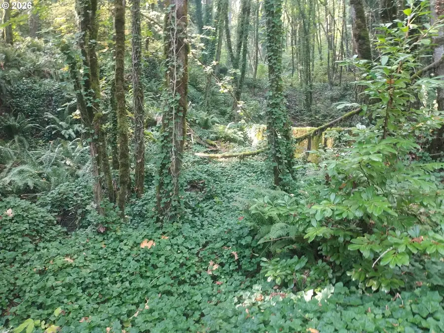 NW Mackay Ave, Portland, OR 97231 - #2