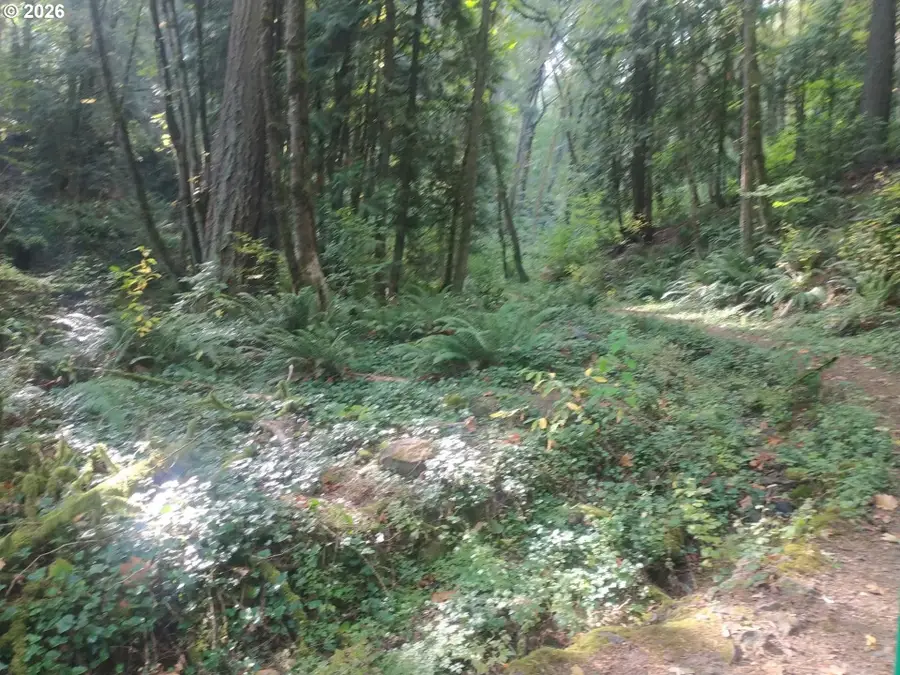 NW Mackay Ave, Portland, OR 97231 - #3
