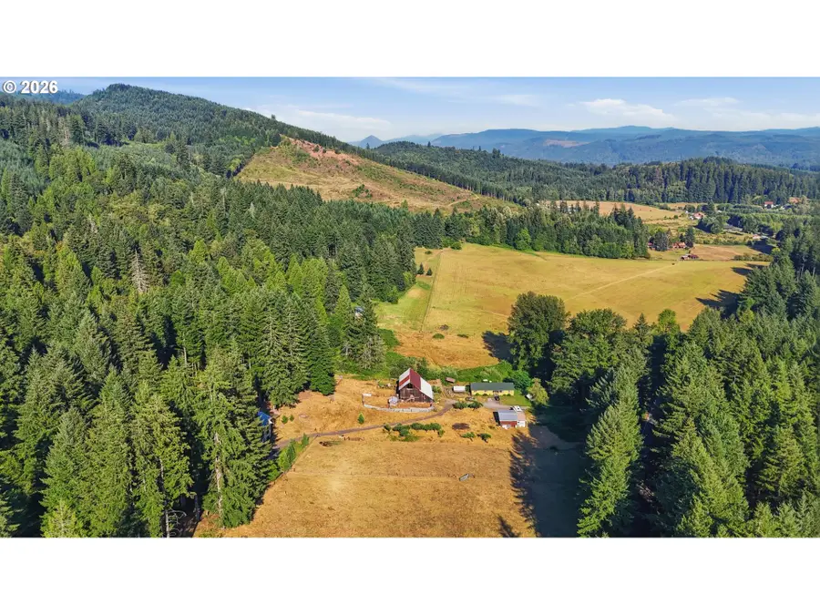 20002 NE Cedar Creek Rd, Amboy, WA 98601 - #2