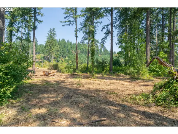 25315 (nxt To)santiam Park Rd Se, Lyons, OR 97358