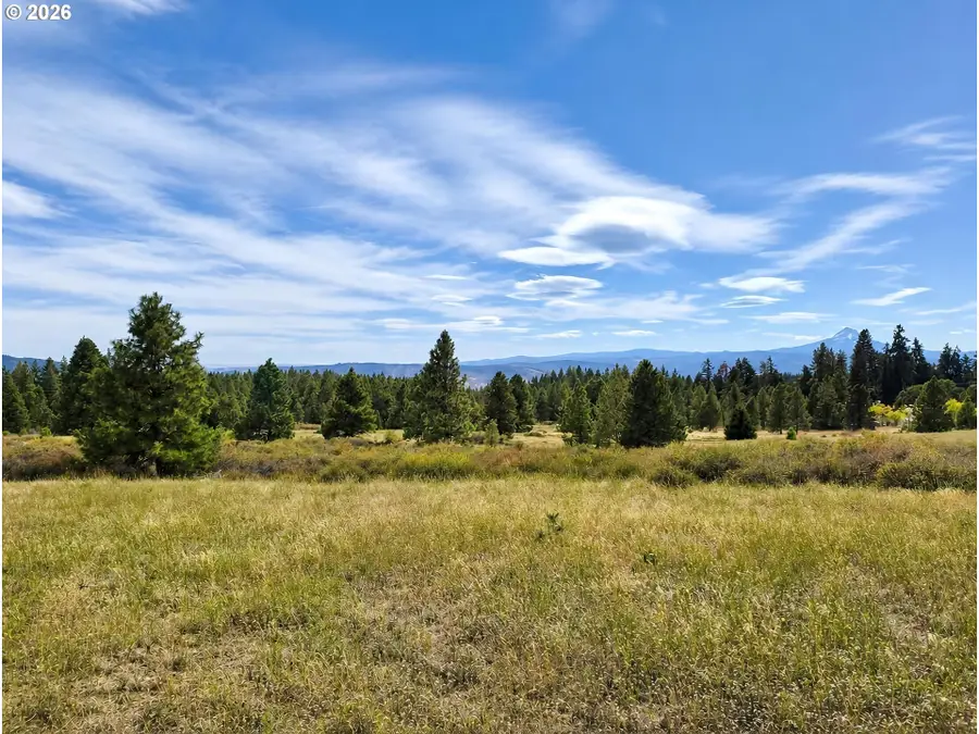 11 Wild Thein Xing, Lyle, WA 98635 - #2