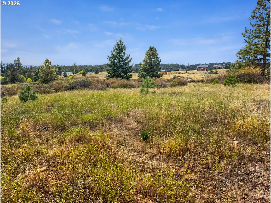 11 Wild Thein Xing, Lyle, WA 98635 - #3