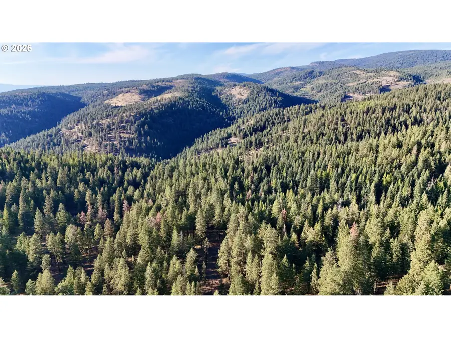 0 Usfs 2036, Union, OR 97883 - #2