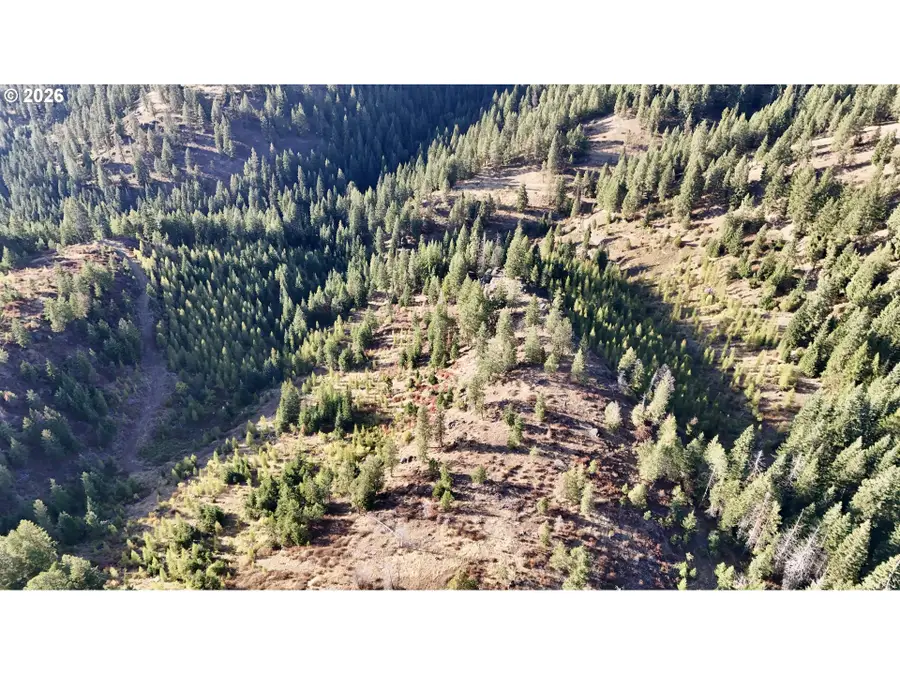 0 Usfs 2036, Union, OR 97883 - #3