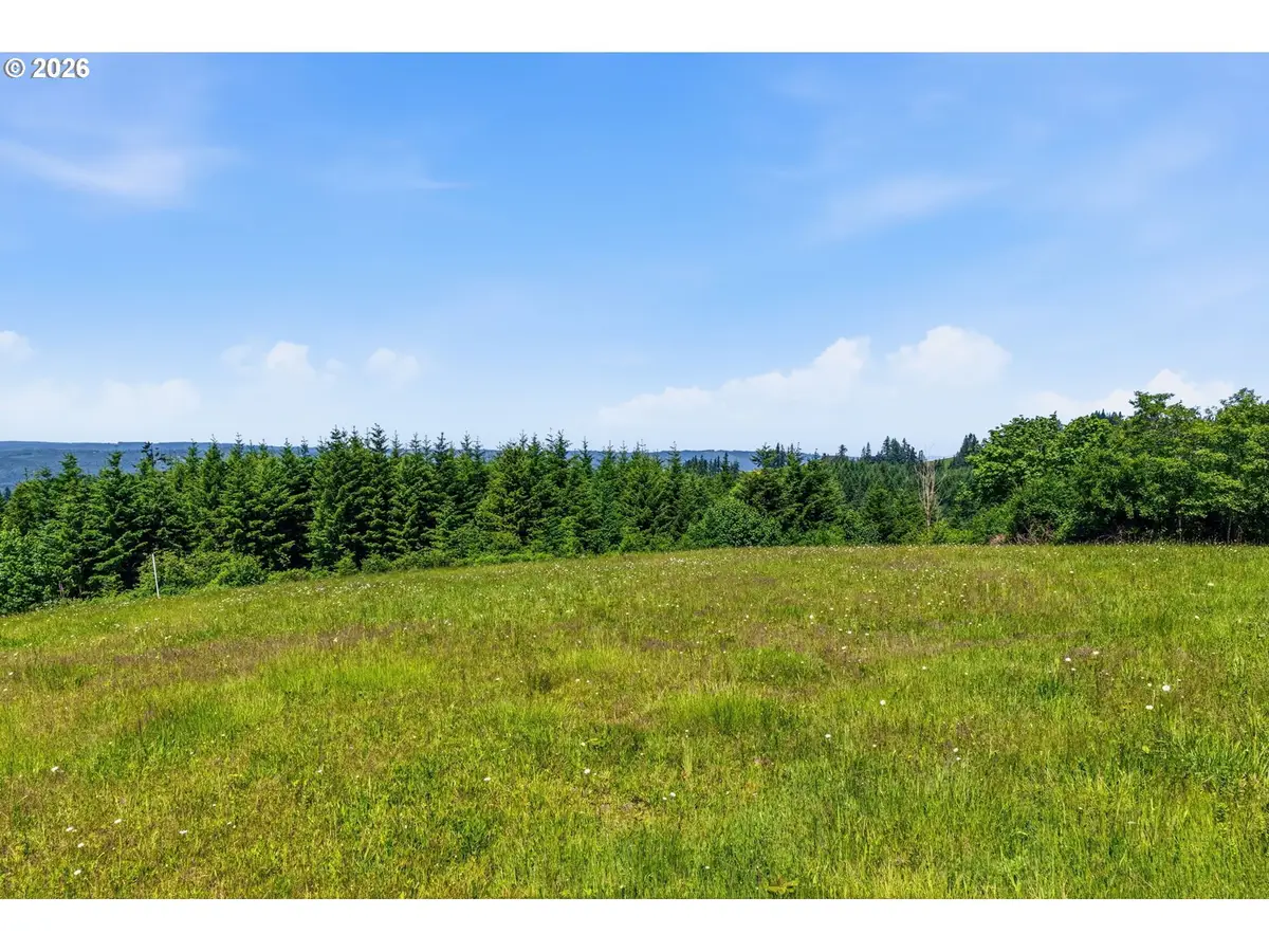 852 Confer Rd, Kalama, WA 98625 - #1