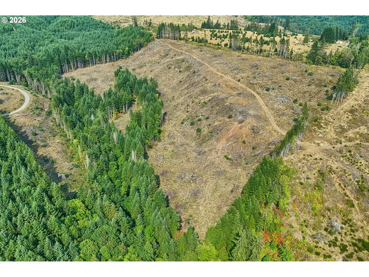 NW John Lee Rd, Buxton, OR 97109 - #1