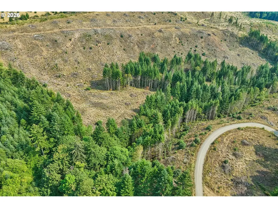 NW John Lee Rd, Buxton, OR 97109 - #2