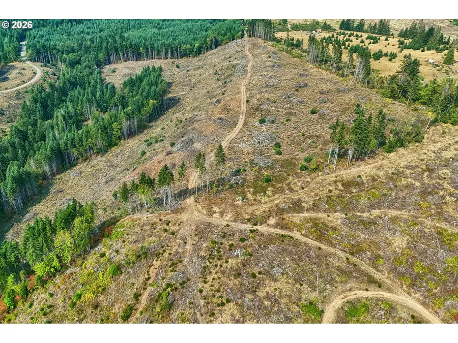 NW John Lee Rd, Buxton, OR 97109 - #3