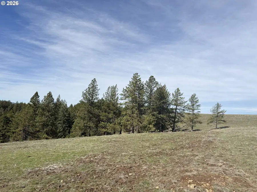Rocky Ridge Rd, Pilot Rock, OR 97868 - #2