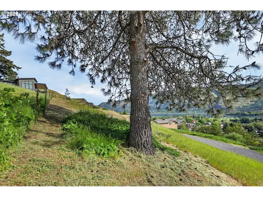 Columbia Dr, Lyle, WA 98635 - #3