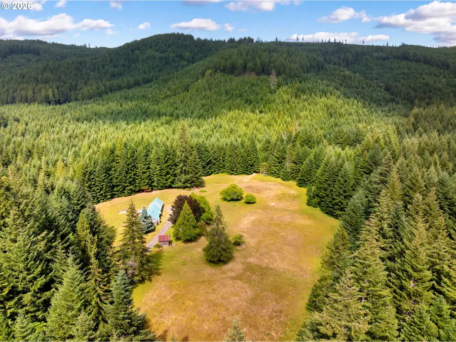 211 Young Rd, Cook, WA 98605 - #2