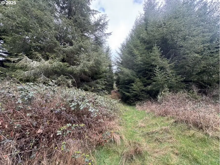 0 Wildberry Rd, Eastside, OR 97420 - Image #2