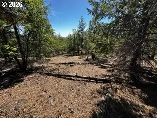 2 Orchard Heights Rd, Goldendale, WA 98620 - #2