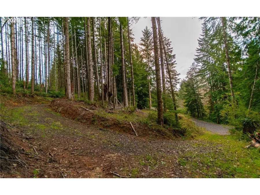 1 Lot Bison Run, Longview, WA 98632 - #2