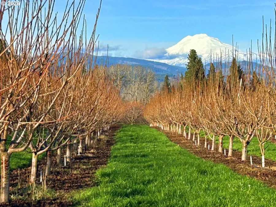 4100 Portland Dr, Hood River, OR 97031 - Image #3