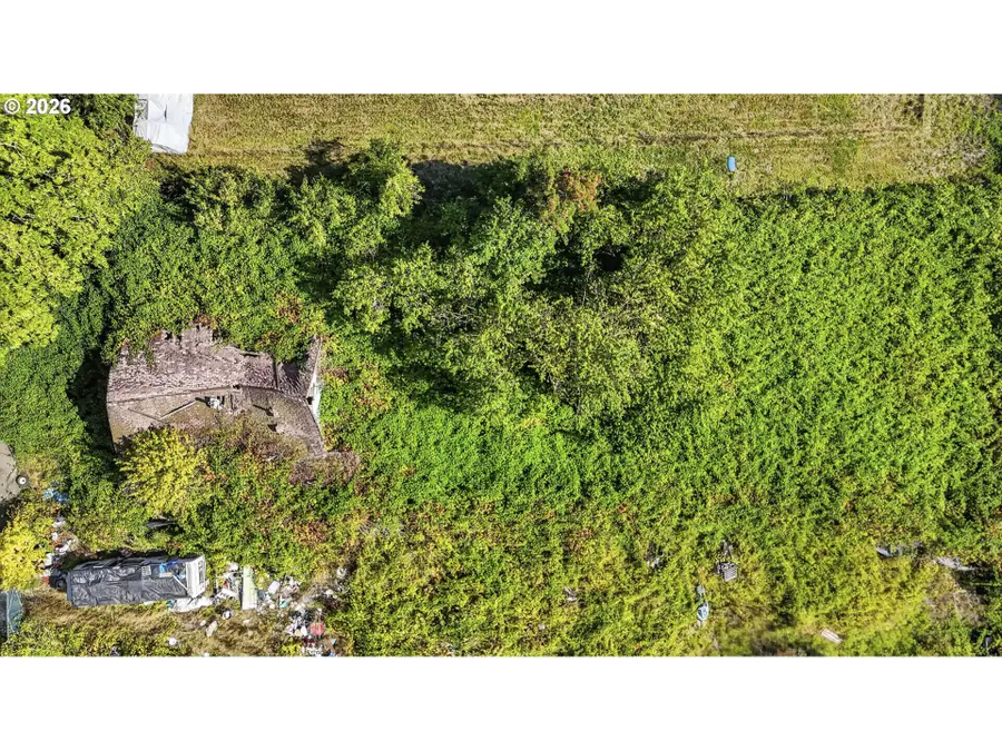 28920 Dike Rd, Rainier, OR 97048 - #3
