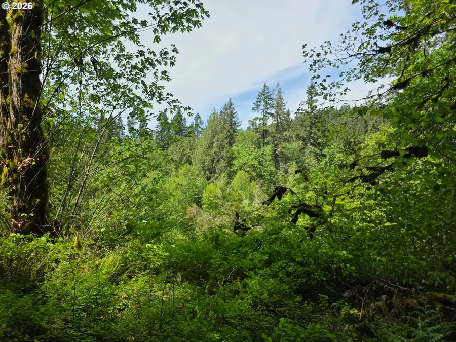 Lewis Cemetery Rd, Silverton, OR 97381 - #3