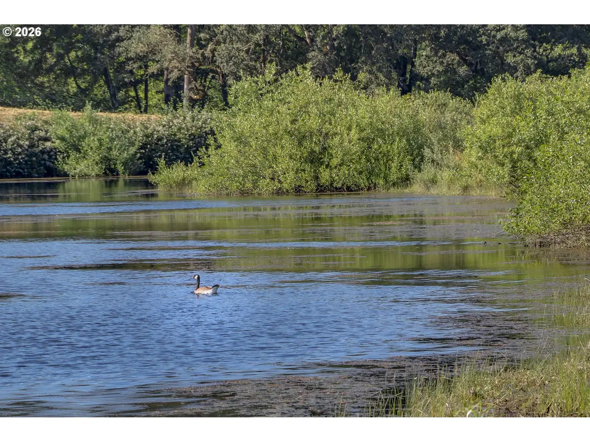 Delight Valley, Cottagegrove, OR 97424 - #1