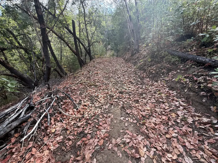 Savage Cr Rd, Southwest Jackson, OR 97526 - #3