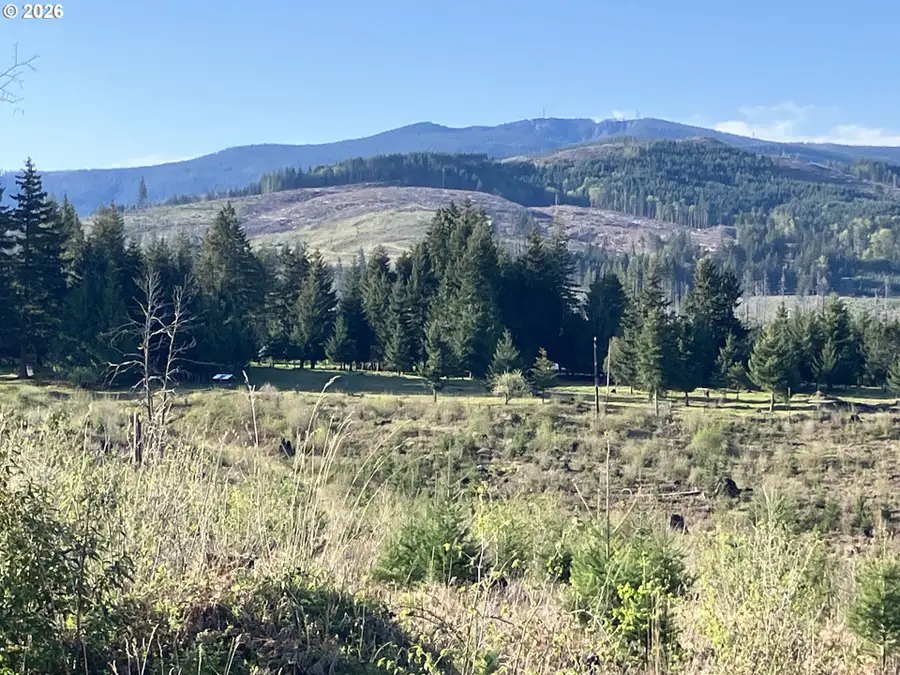 00 S Benjamin Rd, Estacada, OR 97023 - #2