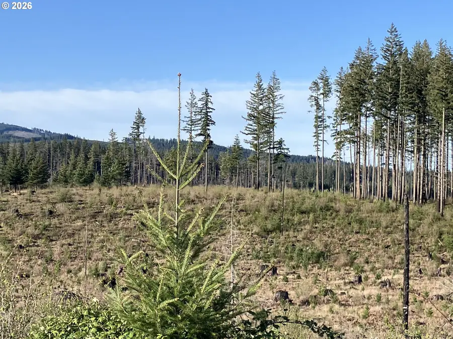 00 S Benjamin Rd, Estacada, OR 97023 - #3