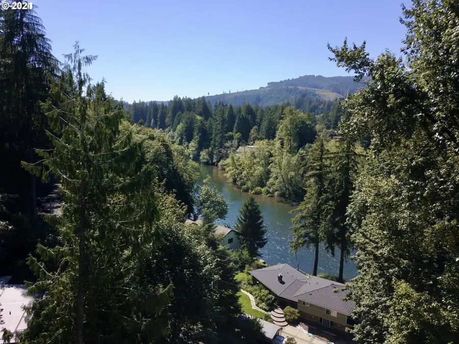 91025 Leashore Dr, Vida, OR 97488 - #2
